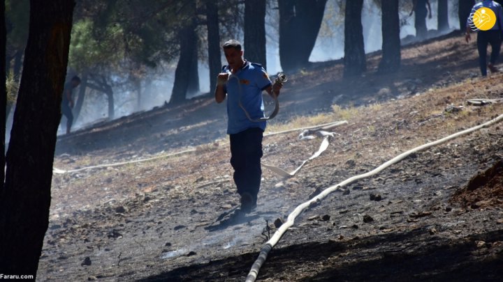 (تصاویر) آتش سوزی گسترده در جنگلهای ترکیه