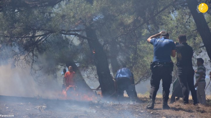 (تصاویر) آتش سوزی گسترده در جنگلهای ترکیه