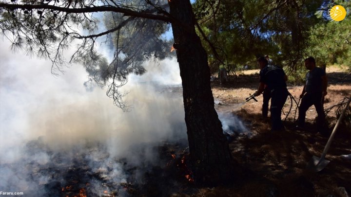 (تصاویر) آتش سوزی گسترده در جنگلهای ترکیه