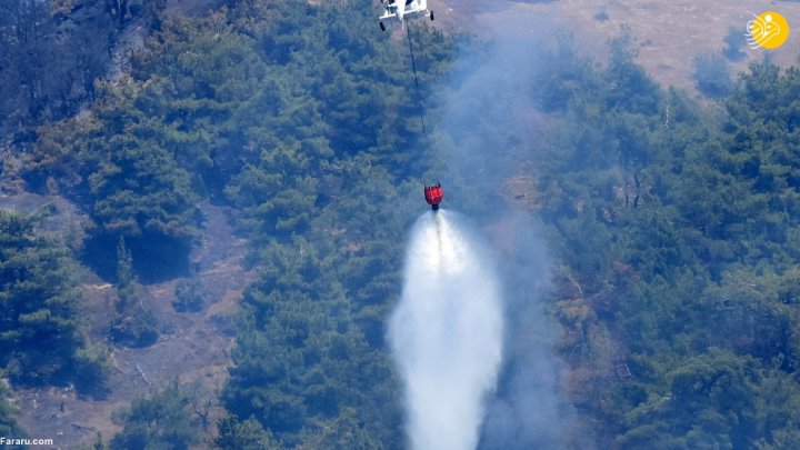 (تصاویر) آتش سوزی گسترده در جنگلهای ترکیه