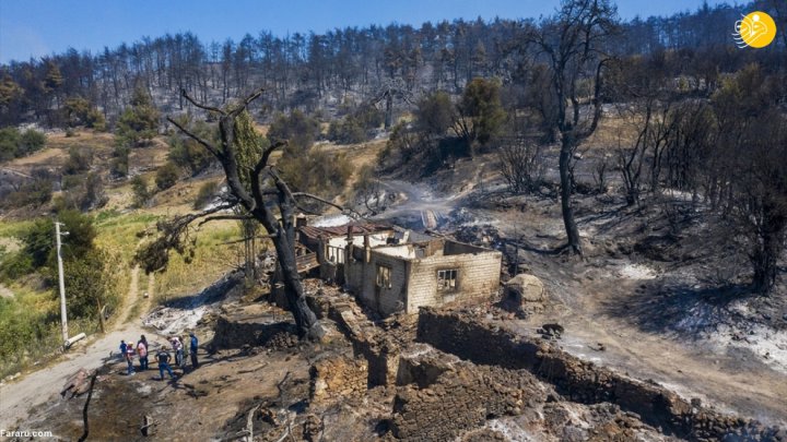 (تصاویر) آتش سوزی گسترده در جنگلهای ترکیه