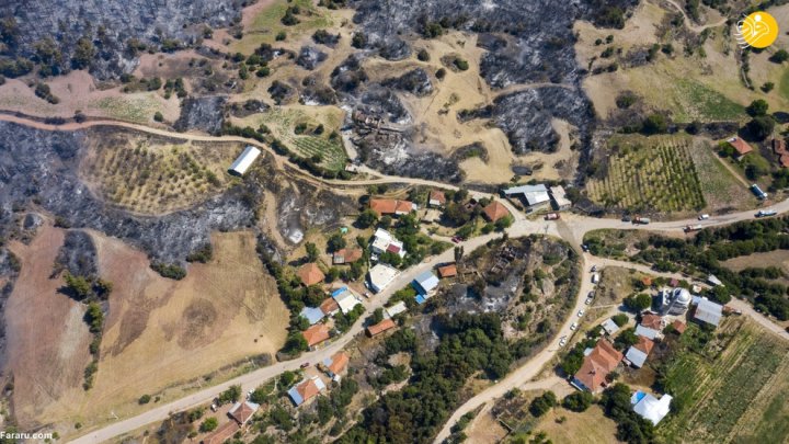 (تصاویر) آتش سوزی گسترده در جنگلهای ترکیه