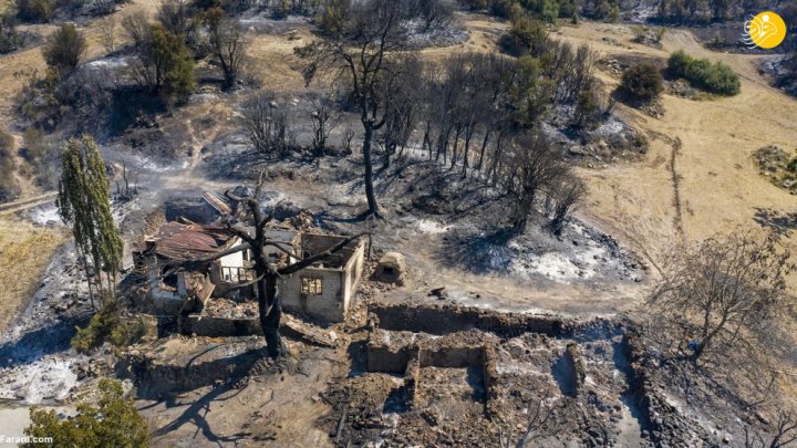 (تصاویر) آتش سوزی گسترده در جنگلهای ترکیه