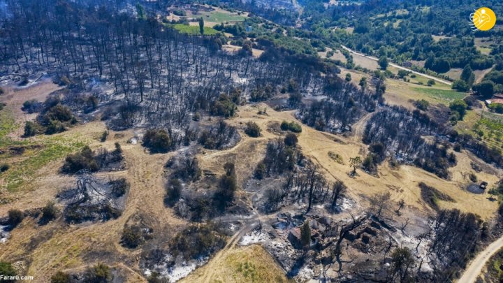 (تصاویر) آتش سوزی گسترده در جنگلهای ترکیه