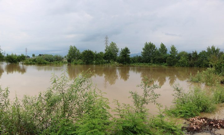(تصاویر) خسارات سیلاب و آبگرفتگی در گیلان
