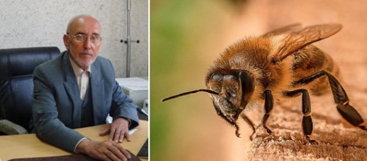 پروفسور عظیم اکبرزاده خیاوی و ادعای درمان کرونا با زهر زنبور