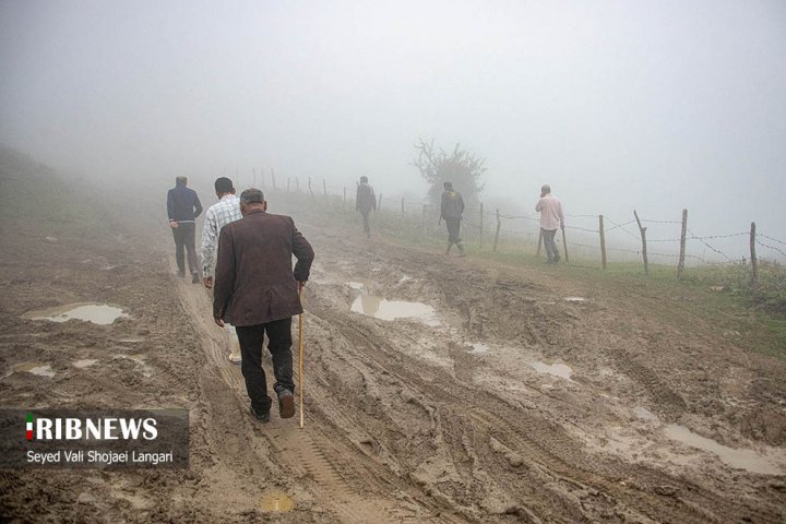 (تصاویر) در جستجوی پیرمرد ناپدید شده در فیلبند مازندران