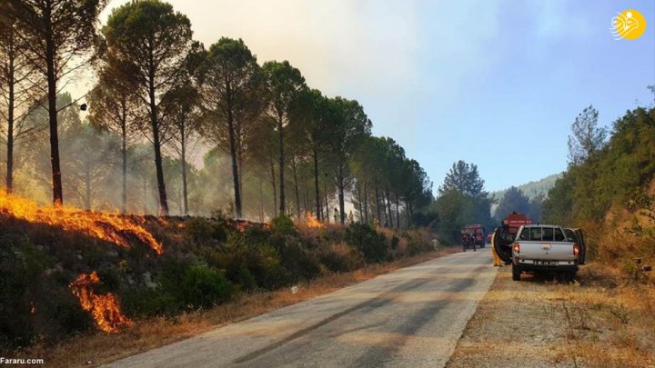 (تصاویر) آتش سوزی گسترده در مناطق جنگلی ترکیه