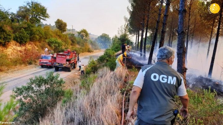 (تصاویر) آتش سوزی گسترده در مناطق جنگلی ترکیه
