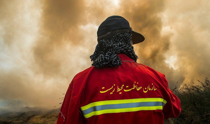 (تصاویر) آتش سوزی سریالی در میانکاله مازندران