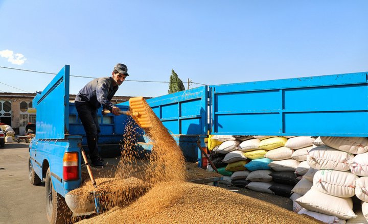 (تصاویر) بنگاه شبانه روزی علّافان