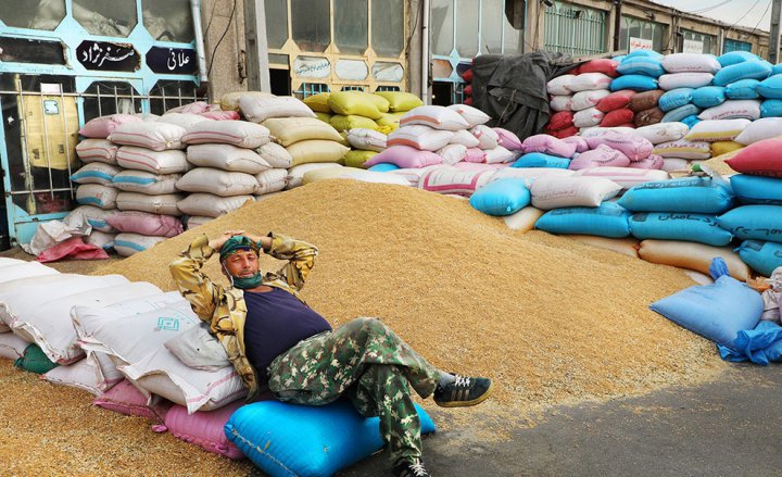 (تصاویر) بنگاه شبانه روزی علّافان