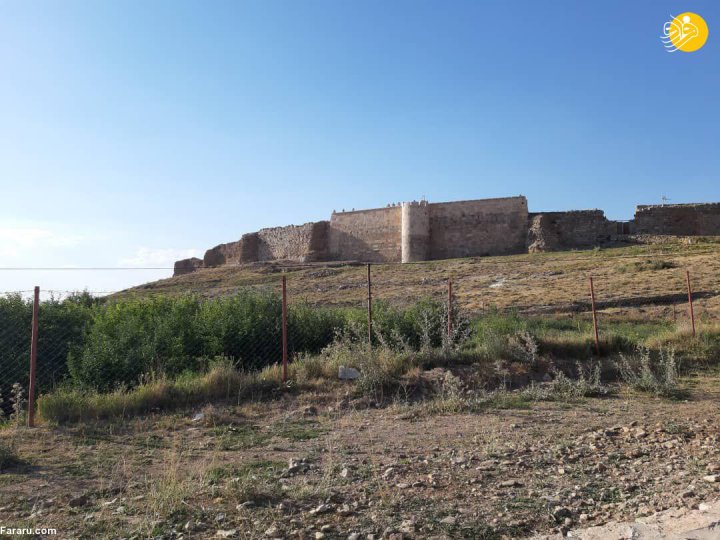 (تصاویر) (تصاویر)