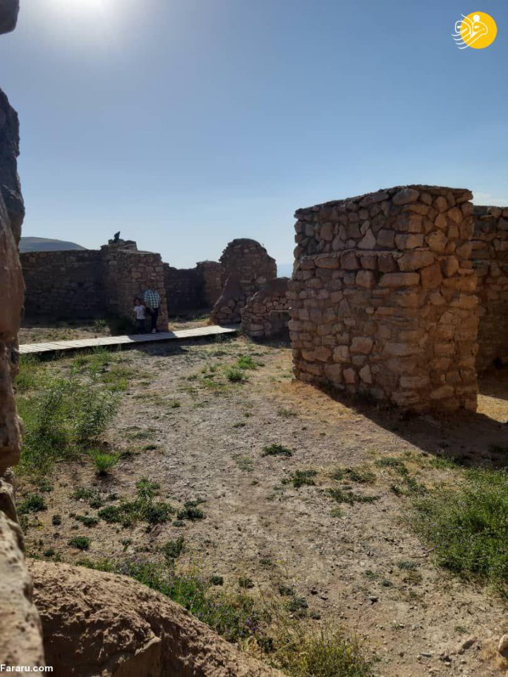 (تصاویر) (تصاویر)