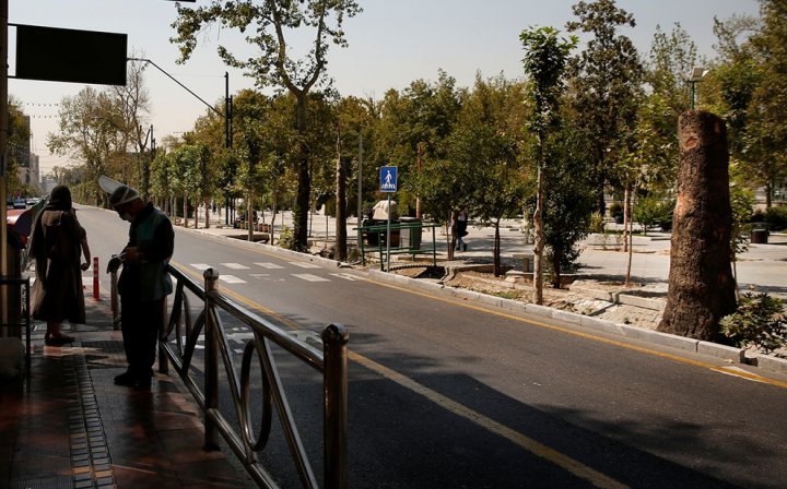 (تصاویر) درختان کهنسال خیابان ولیعصر قطع شدند