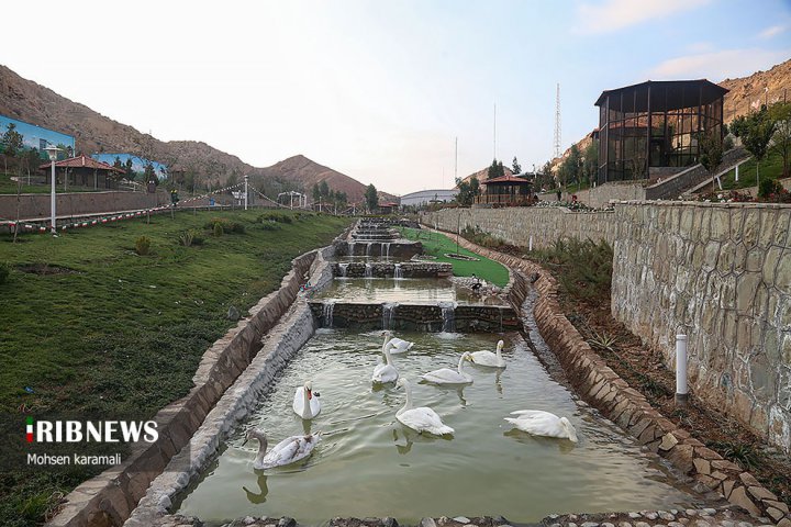 (تصاویر) باغ پرندگان قم