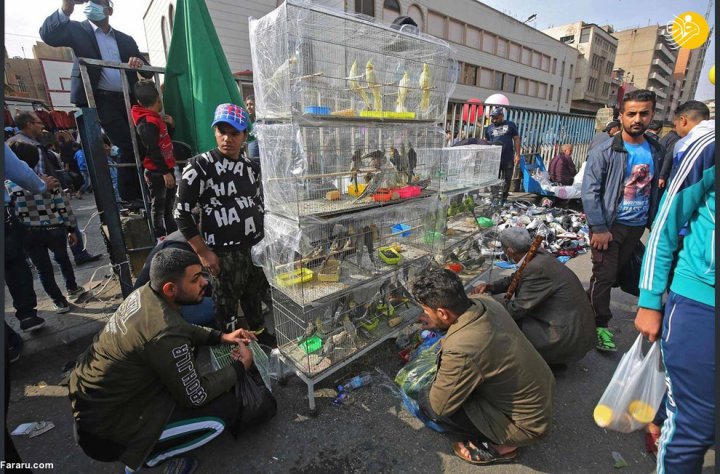 (تصاویر) جمعه بازار پرندگان در بغداد