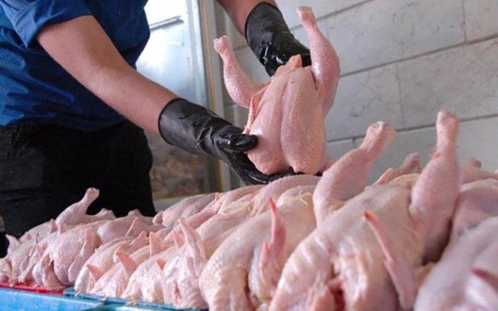 پیش‌بینی قیمت مرغ در دی ماه