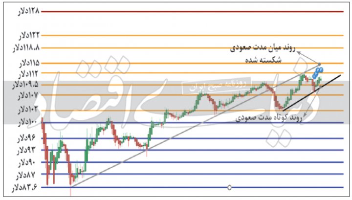 بررسی تکنیکال قیمت گوشت گاو زنده