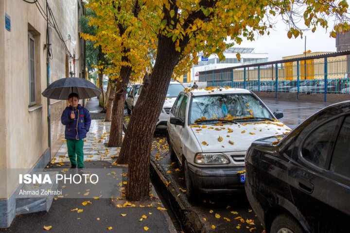 (تصاویر) باران برگ ریز پاییزی در قم