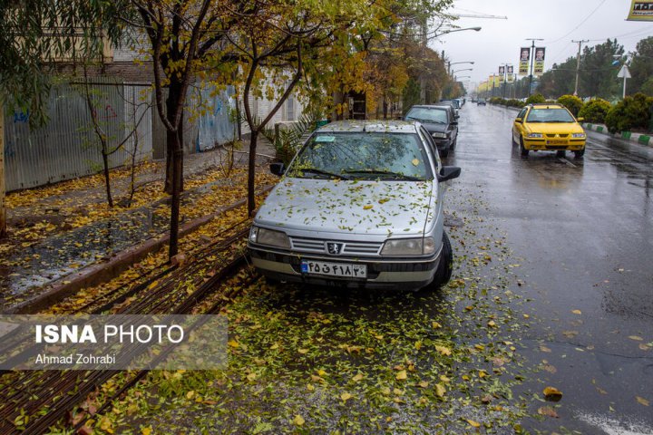 (تصاویر) باران برگ ریز پاییزی در قم