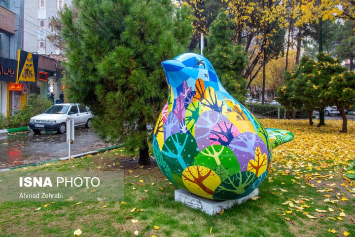 (تصاویر) باران برگ ریز پاییزی در قم