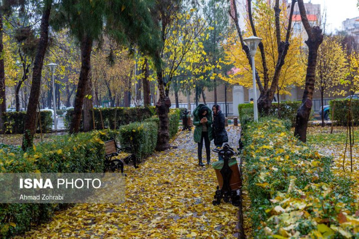 (تصاویر) باران برگ ریز پاییزی در قم