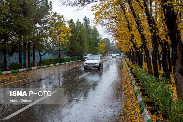 (تصاویر) باران برگ ریز پاییزی در قم