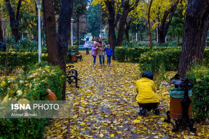 (تصاویر) باران برگ ریز پاییزی در قم