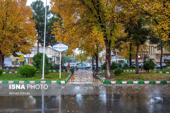 (تصاویر) باران برگ ریز پاییزی در قم