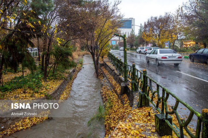 (تصاویر) باران برگ ریز پاییزی در قم