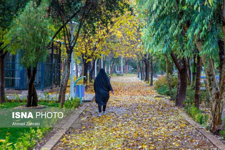 (تصاویر) باران برگ ریز پاییزی در قم