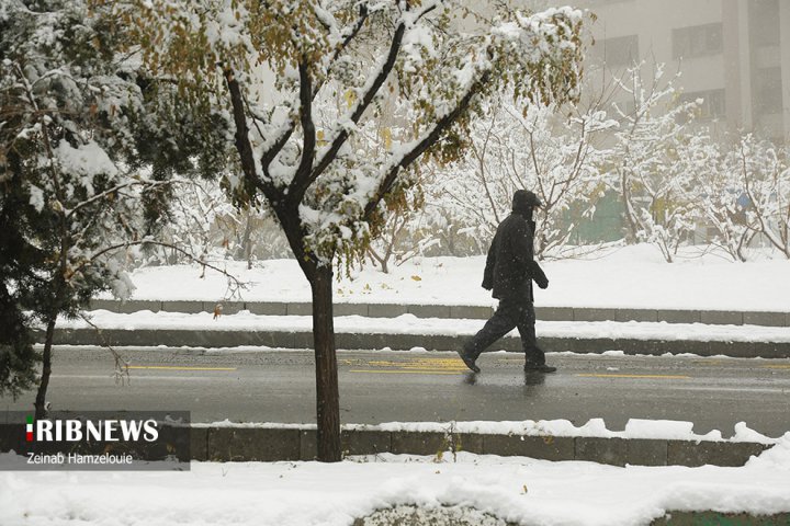 (تصاویر) بارش برف در شمال تهران