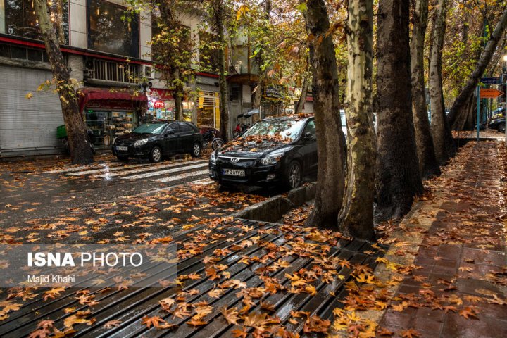 (تصاویر) برگ‌ریزان پاییز در خیابان‌های تهران