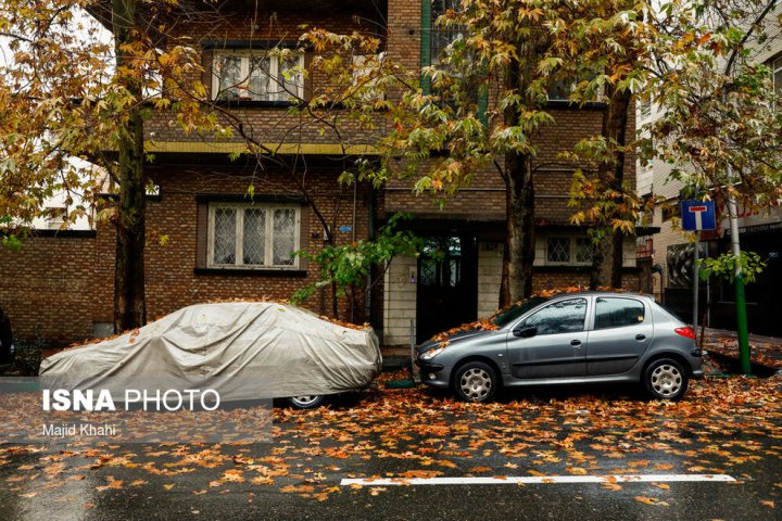 (تصاویر) برگ‌ریزان پاییز در خیابان‌های تهران