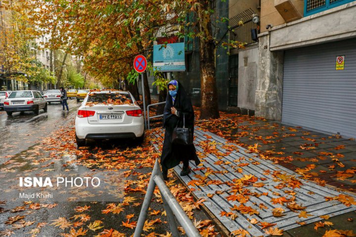 (تصاویر) برگ‌ریزان پاییز در خیابان‌های تهران