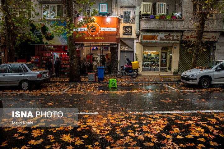 (تصاویر) برگ‌ریزان پاییز در خیابان‌های تهران