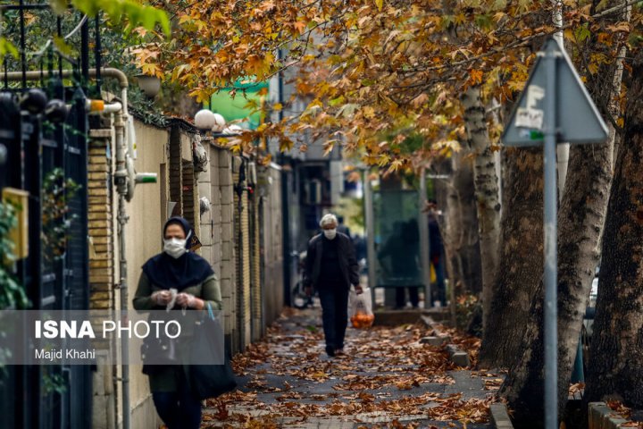 (تصاویر) برگ‌ریزان پاییز در خیابان‌های تهران