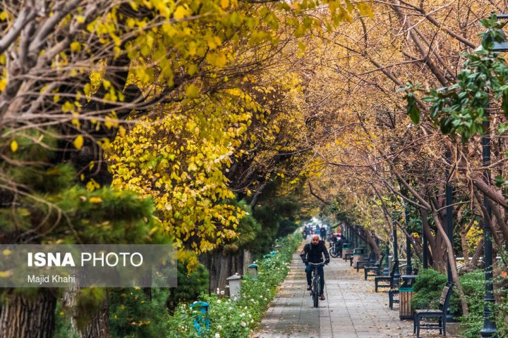 (تصاویر) برگ‌ریزان پاییز در خیابان‌های تهران