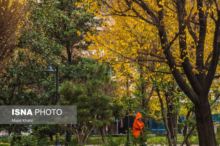 (تصاویر) برگ‌ریزان پاییز در خیابان‌های تهران