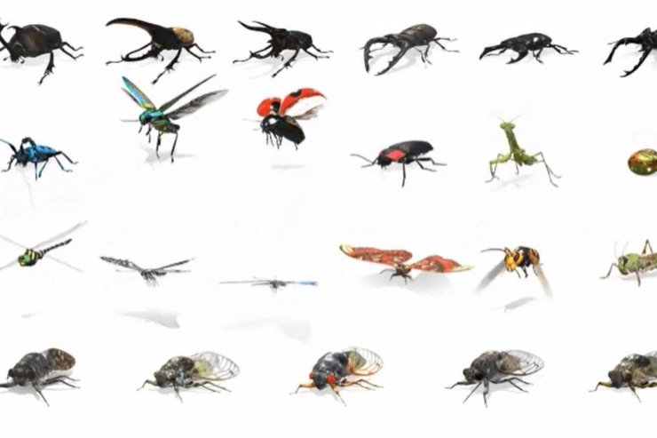 حشرات به جستجوی AR گوگل اضافه شدند