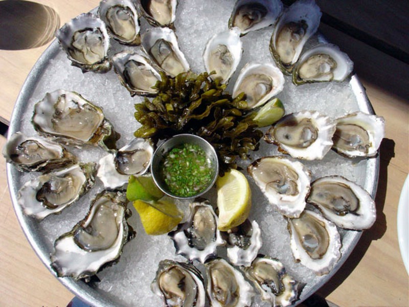 Can Vegans Eat Oysters (All You Should Know As a Vegan)