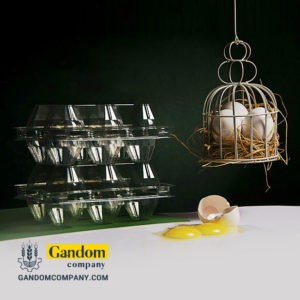 پروتکل های بهداشتی خرید تخم مرغ در دوران کرونا