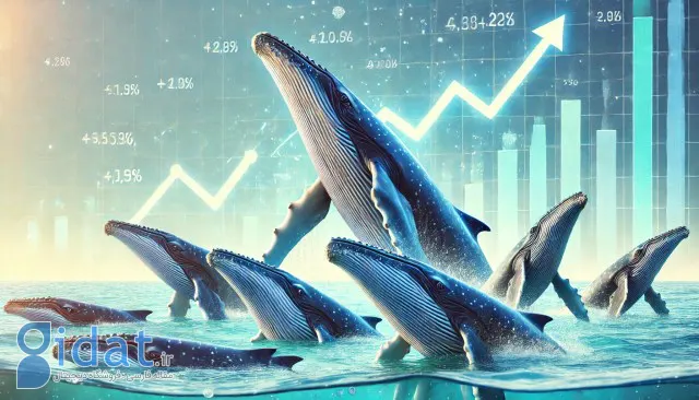 نهنگ‌ها در هفته گذشته بیش از ۳۴۰ میلیون دلار تون کوین خریده‌اند