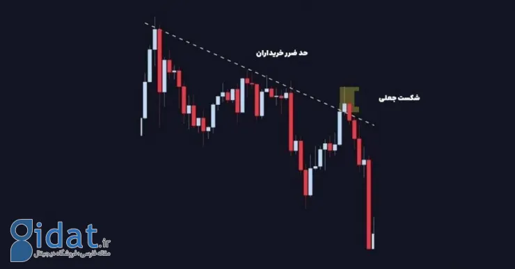 ۵ تله رایج در بازار کریپتو؛ نهنگ‌ها در کنار این تله‌ها منتظر شما هستند