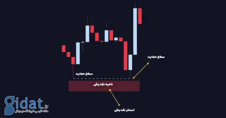 ۵ تله رایج در بازار کریپتو؛ نهنگ ها در کنار این تله ها منتظر شما هستند
