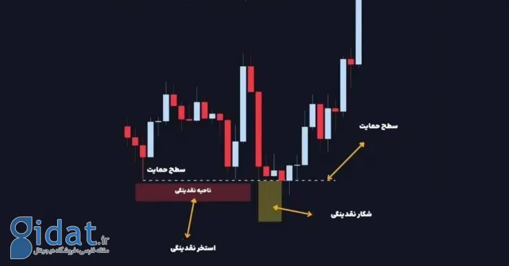 ۵ تله رایج در بازار کریپتو؛ نهنگ‌ها در کنار این تله‌ها منتظر شما هستند