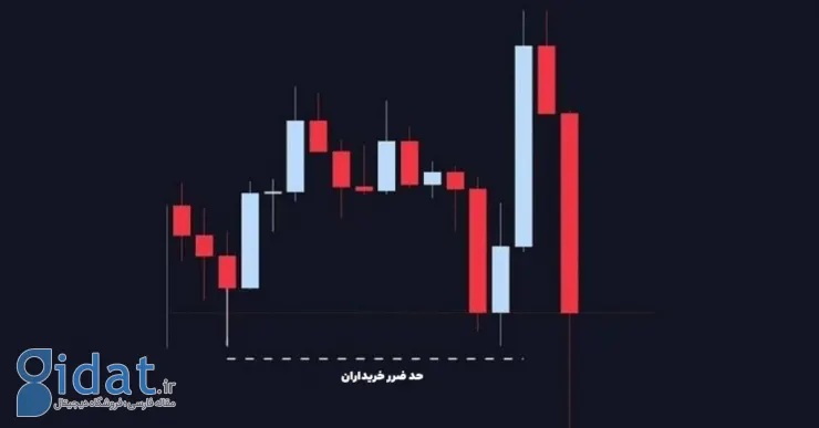 ۵ تله رایج در بازار کریپتو؛ نهنگ‌ها در کنار این تله‌ها منتظر شما هستند