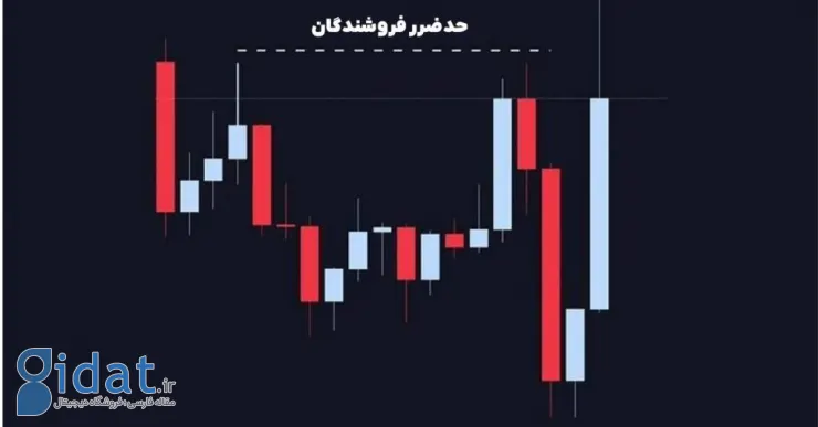 ۵ تله رایج در بازار کریپتو؛ نهنگ‌ها در کنار این تله‌ها منتظر شما هستند