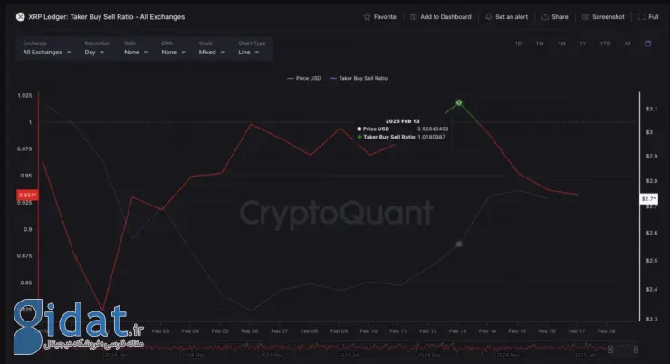 نسبت خرید و فروش ریپل در بازار آپشن